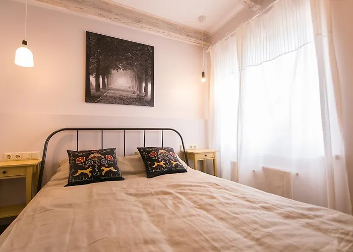 Sunny And Compact Riga